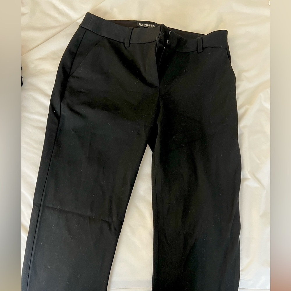 Express Work Pants - image 1